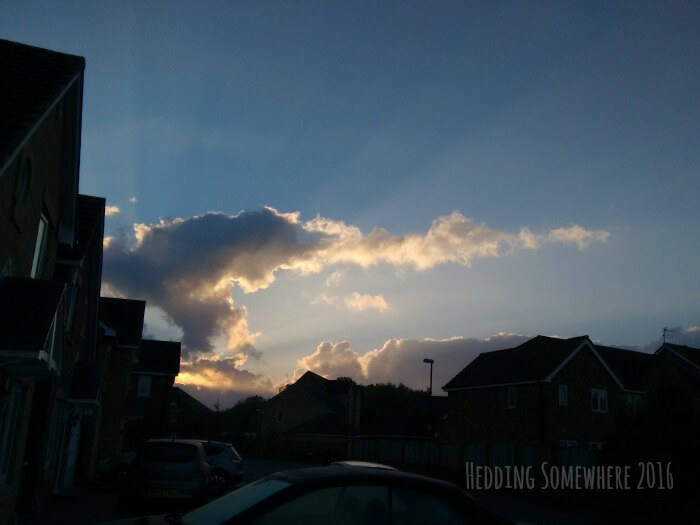 Mercies new every morning